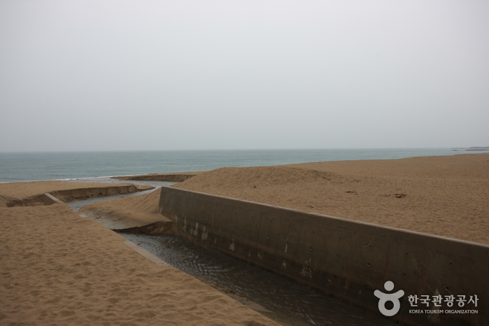 长沙海水浴场（장사해수욕장）