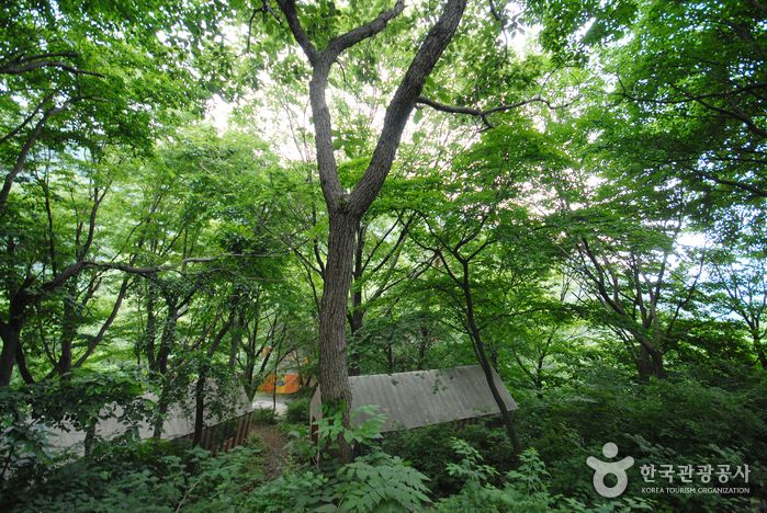 thumbnail-Ganwol Recreational Forest (간월자연휴양림)-15