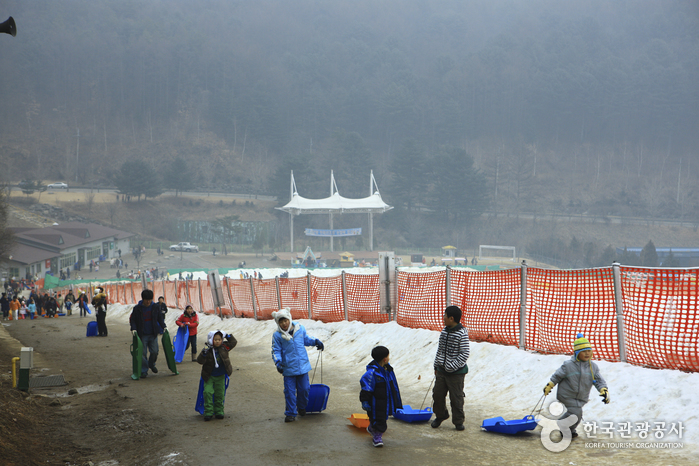 Hanwha Resort - Yangpyeong Sledding Park (양평한화리조트 눈썰매장)