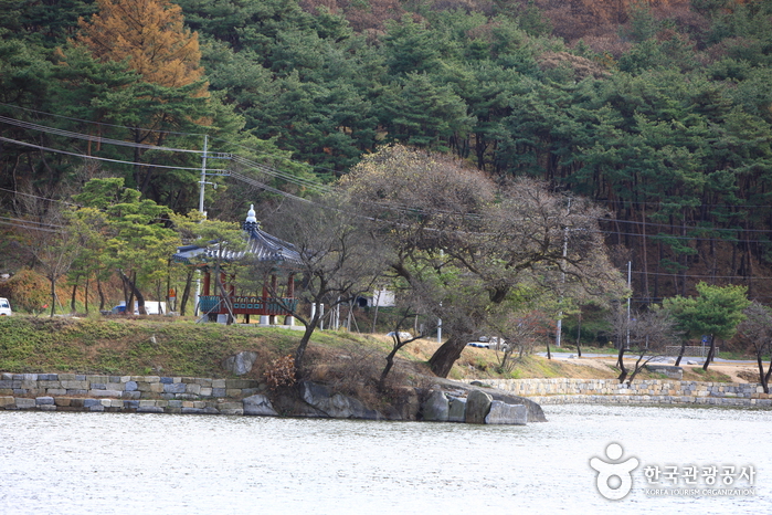 Uirimji Reservoir (제천 의림지와 제림)