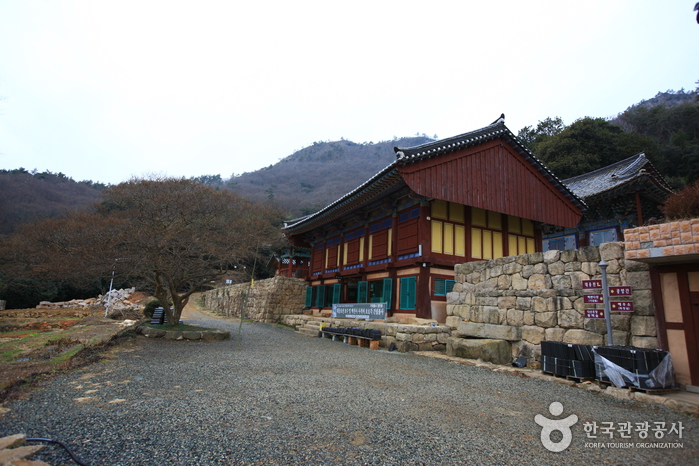 Gangjin Baengnyeonsa Temple (백련사 (강진))