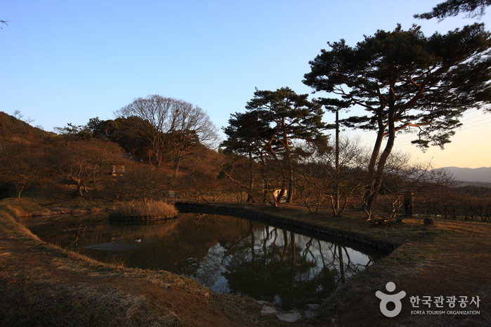 Jardín Myeongokheon Wollim de Damyang (담양 명옥헌 원림)