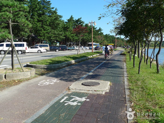 Gyeongpo Beach (경포해변)
