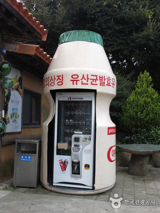 Miniaturenthemenpark Soingook (소인국 테마파크)