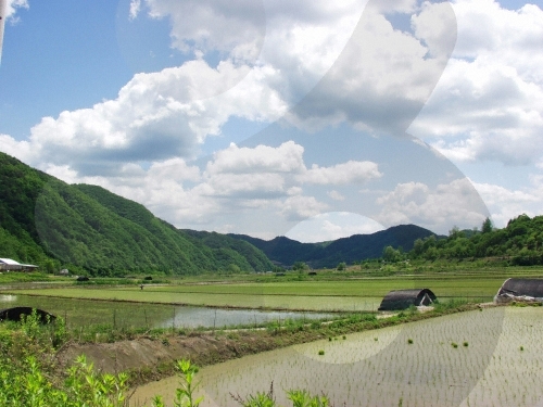 화천 토고미마을8