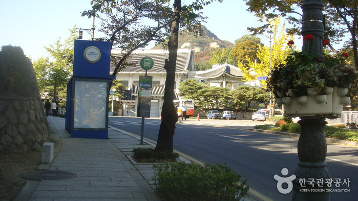 The Street in front of Cheongwadae (The Blue House) (청와대 앞길)