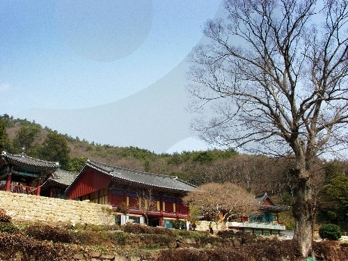Temple Baengnyeonsa à Gangjin (백련사(강진))