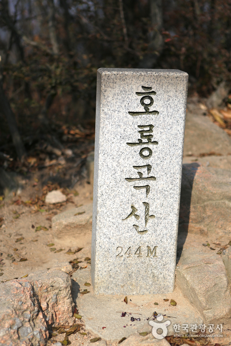 Horyonggoksan Mountain (호룡곡산)
