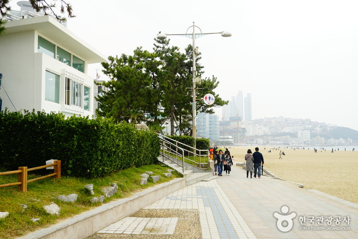 海云台海水浴场해운대해수욕장6