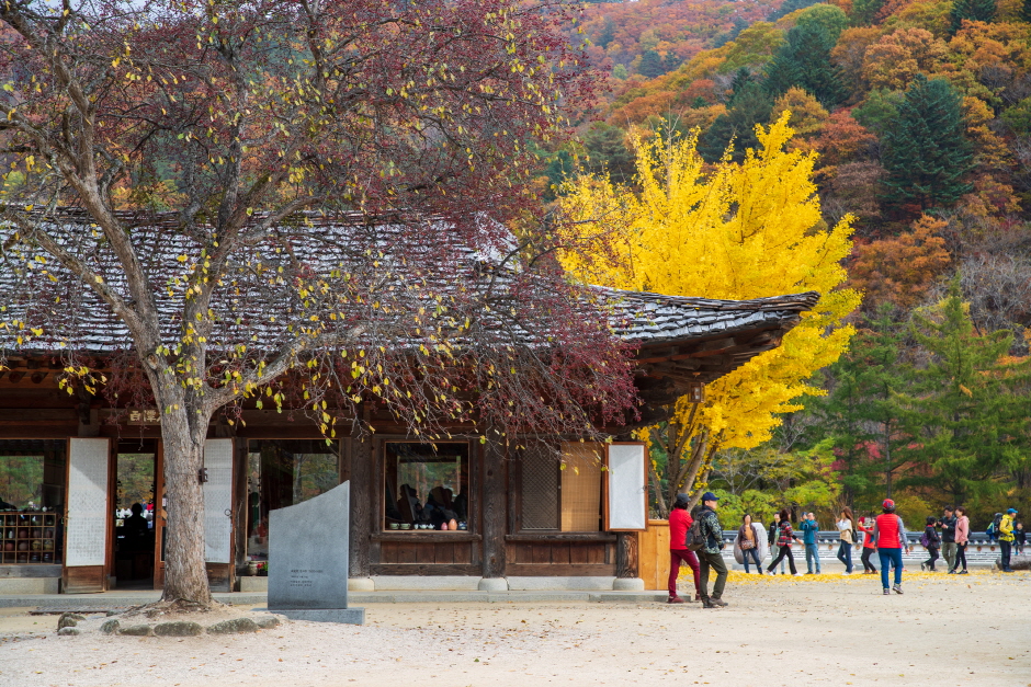 Tempel Baekdamsa (백담사)