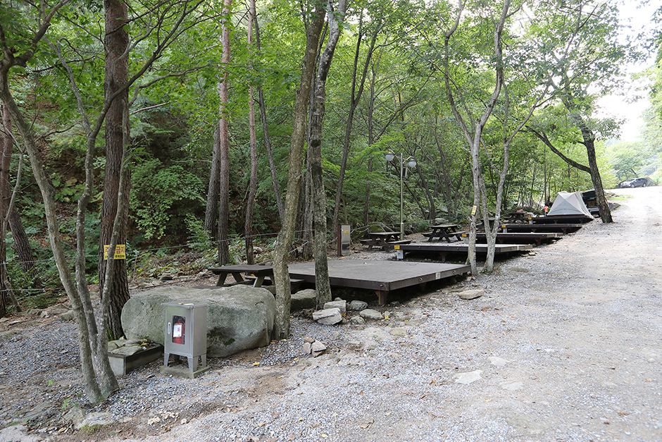 국립황정산 자연휴양림 캠핑장1