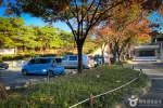 대구 코오롱 야외음악당 (2)