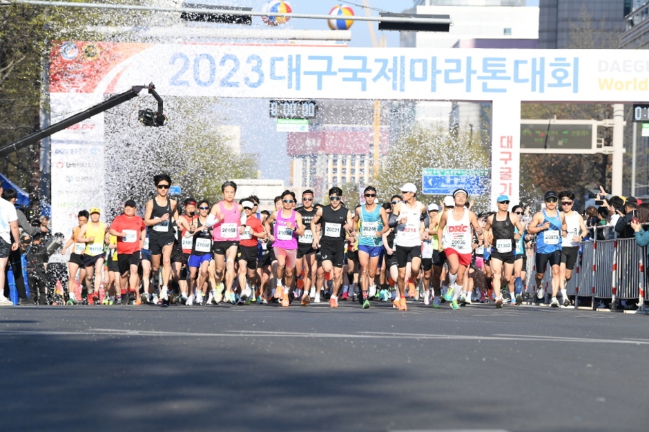 2024대구마라톤대회