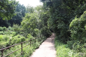 포암산(충주) (6)_e