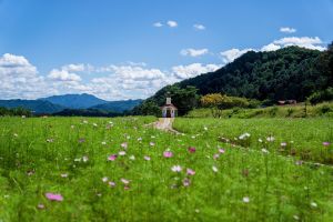 무궁화수목원 (4)