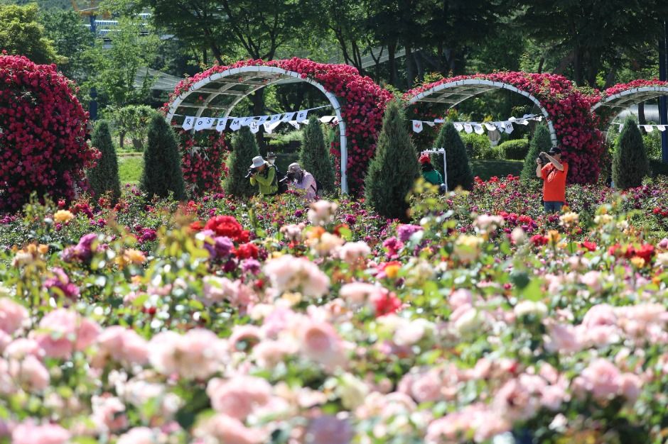 thumbnail-ソウル大公園（서울대공원）-28