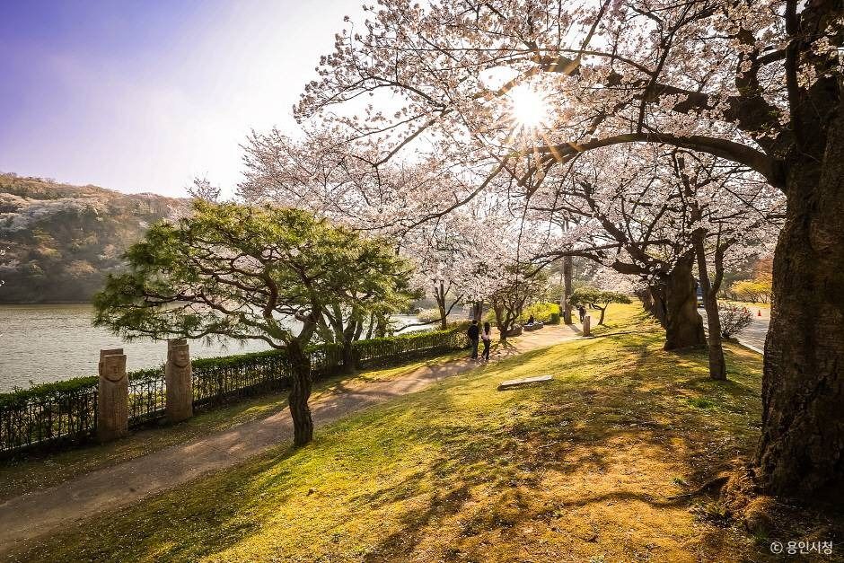 가실벚꽃길