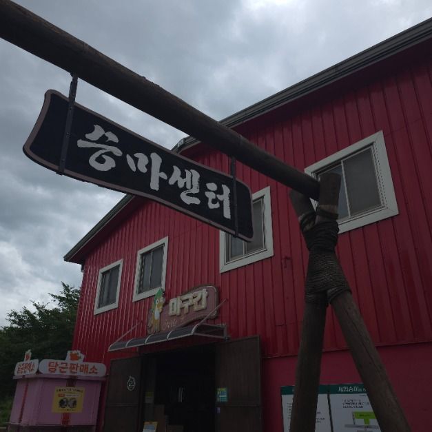 안성_안성팜랜드 승마센터 (5)