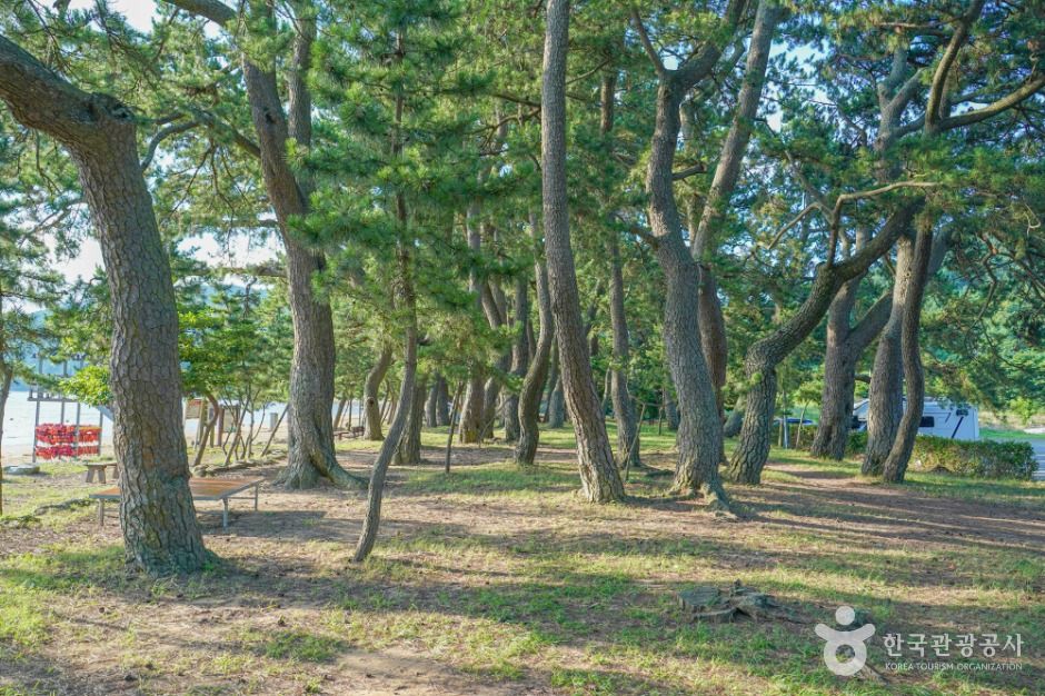 고흥_나로우주해수욕장 (1)