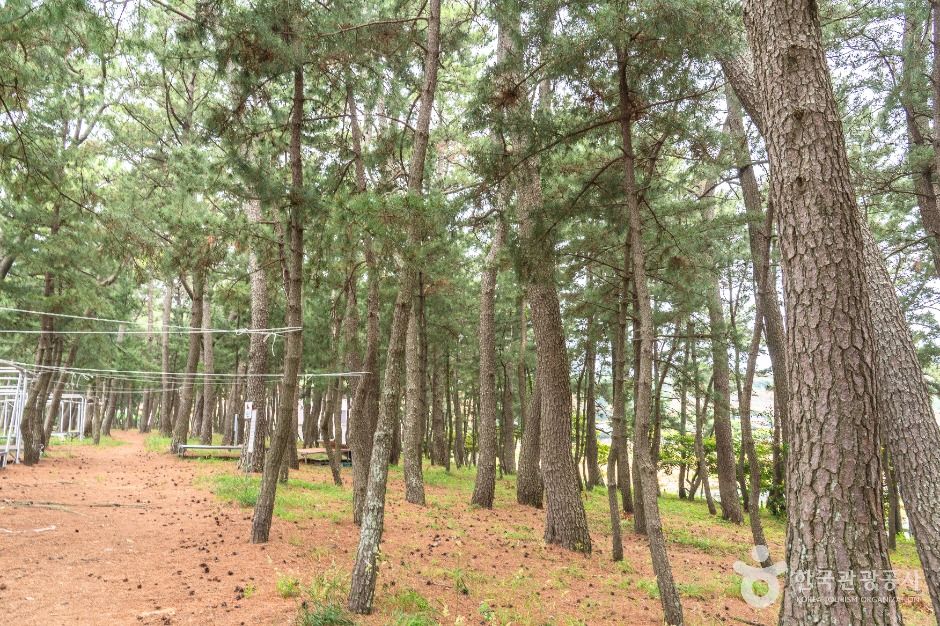 고흥_연소해수욕장 (2)