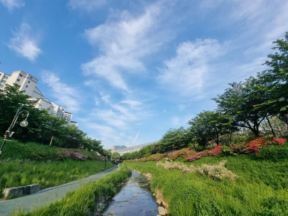 서울_[서울둘레길 8코스] 장지·탄천코스 (8)