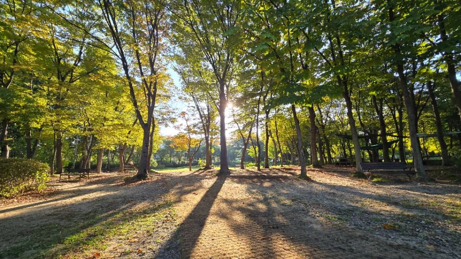 [서울둘레길 10코스] 우면산코스
