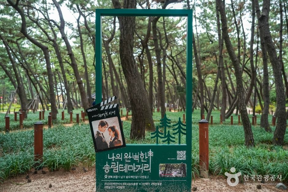 송도솔밭도시숲