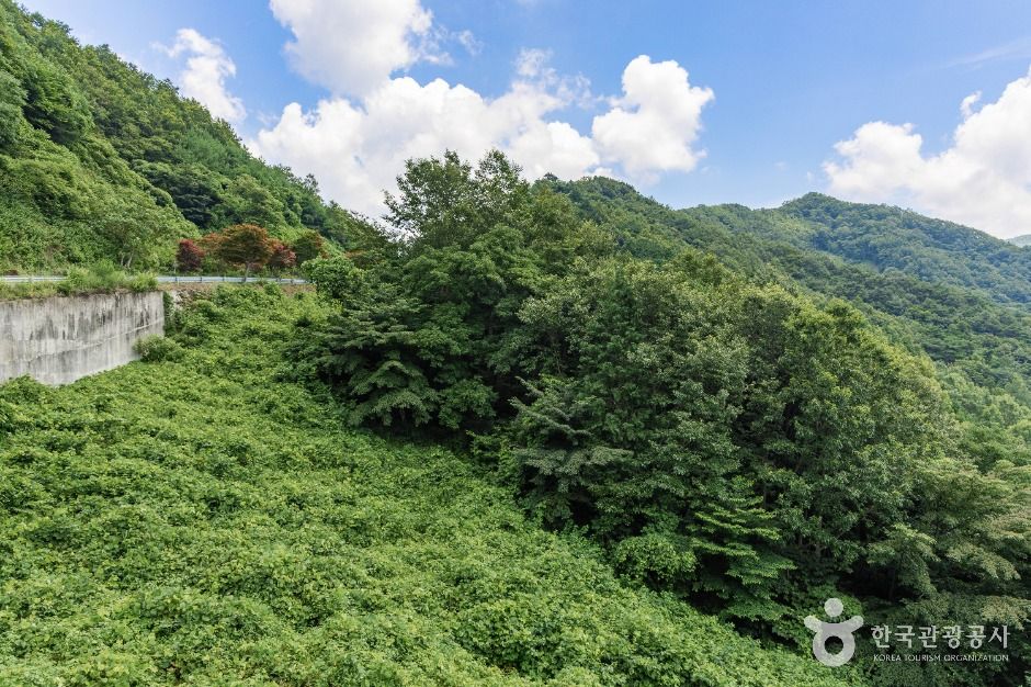 곡성_구성재 (1)
