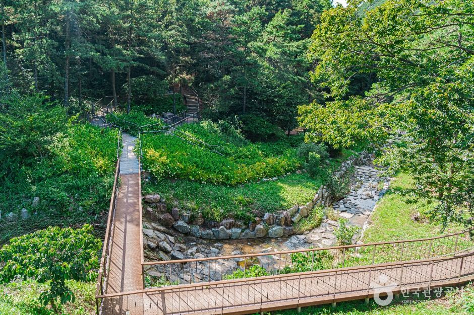 무안 물맞이 치유의 숲