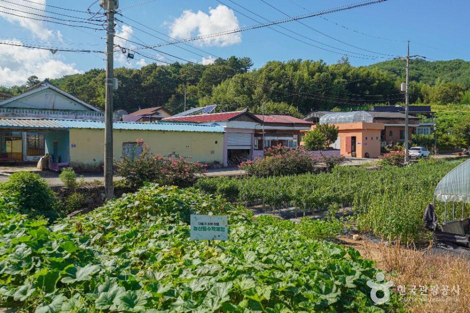 다슬기 초량마을