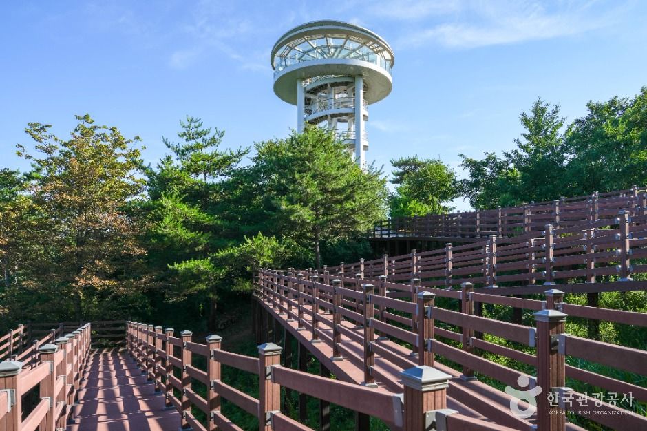 소백산하늘자락공원