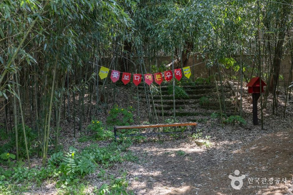 면천읍성 대숲바람길