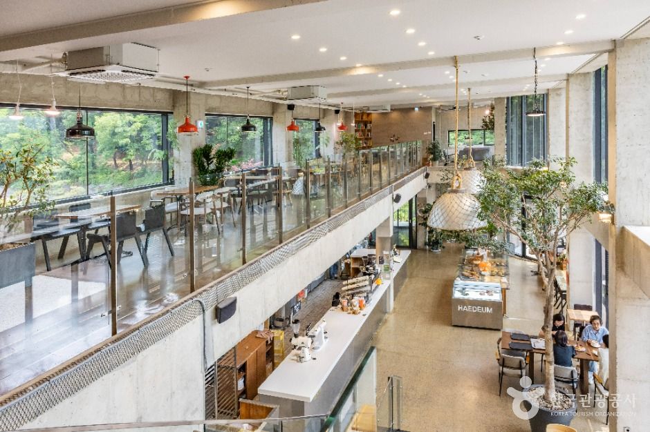 괴산_해듬카페 (3)