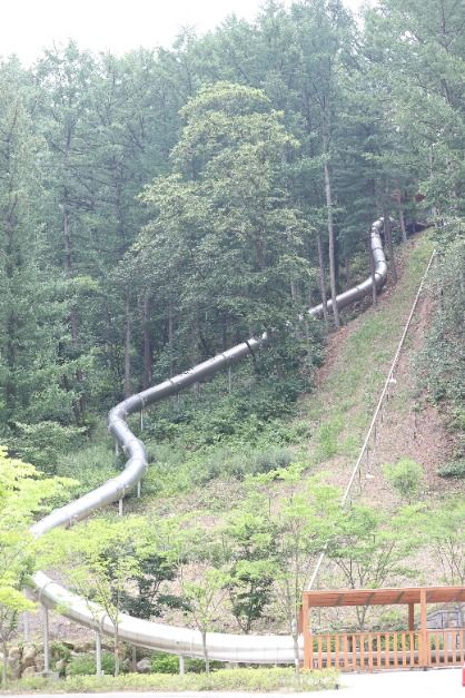 thumbnail-놀자숲-15