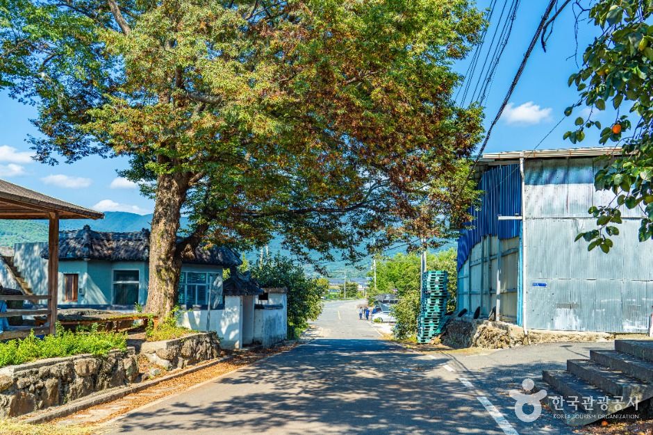 악양대봉감 정보화마을