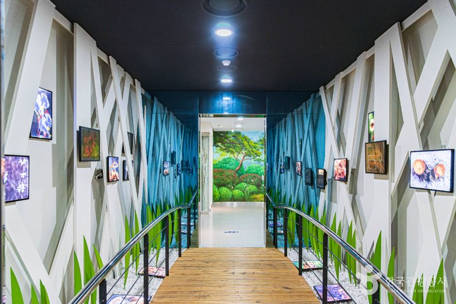 부안댐 물문화관