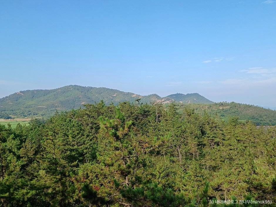 신안_팔금도 (2)