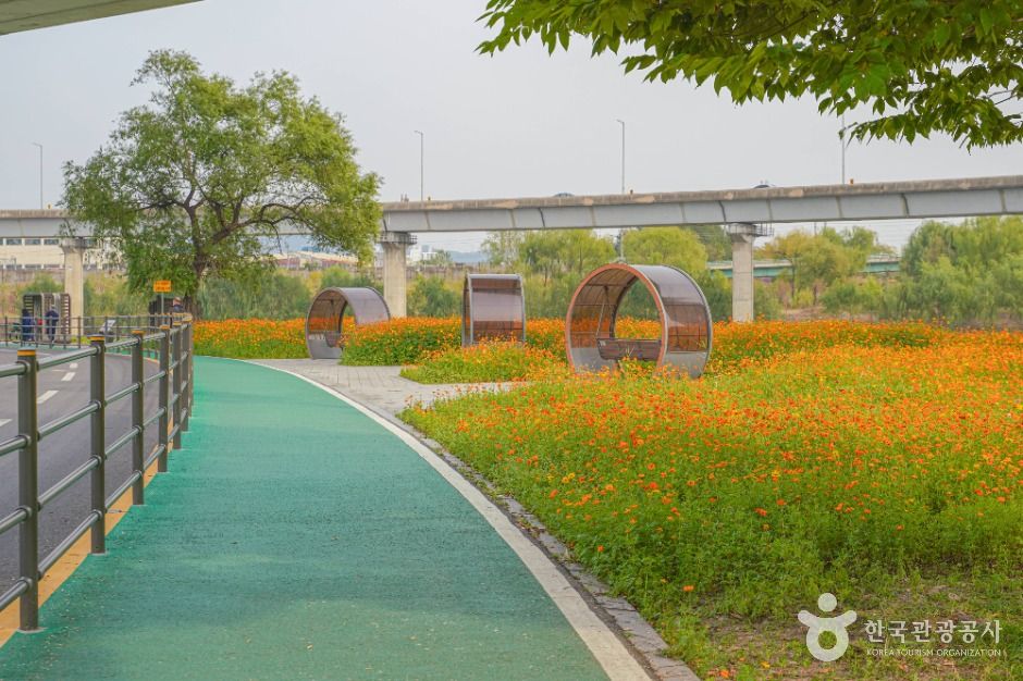 살곶이체육공원