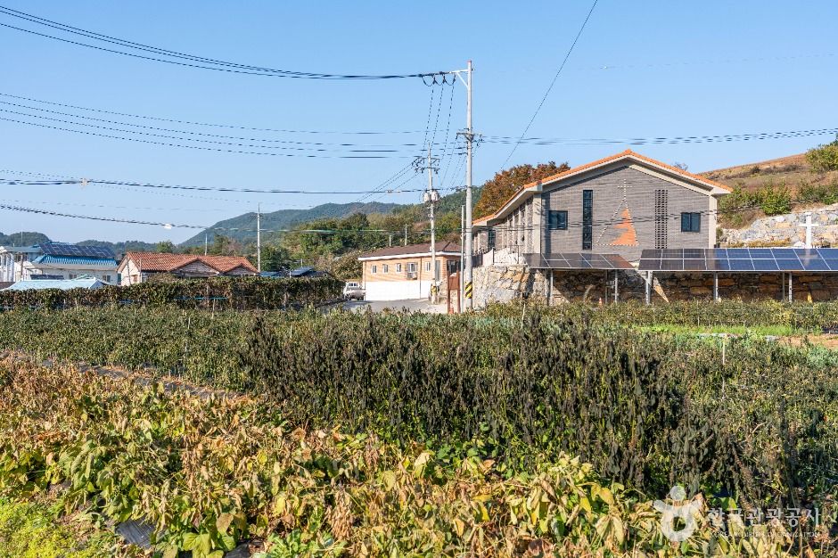 월악산 약초마을