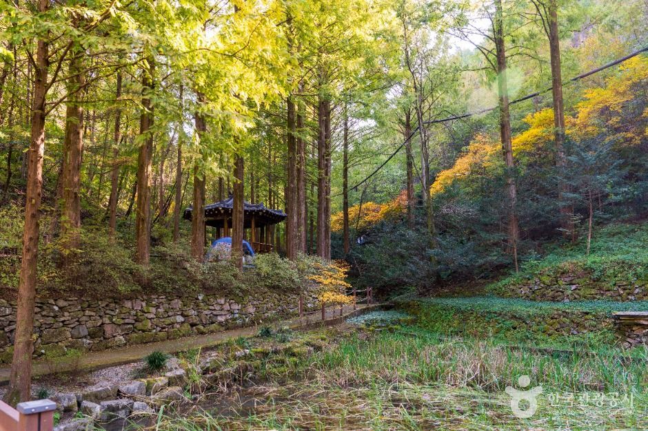 장태산자연휴양림 (2)
