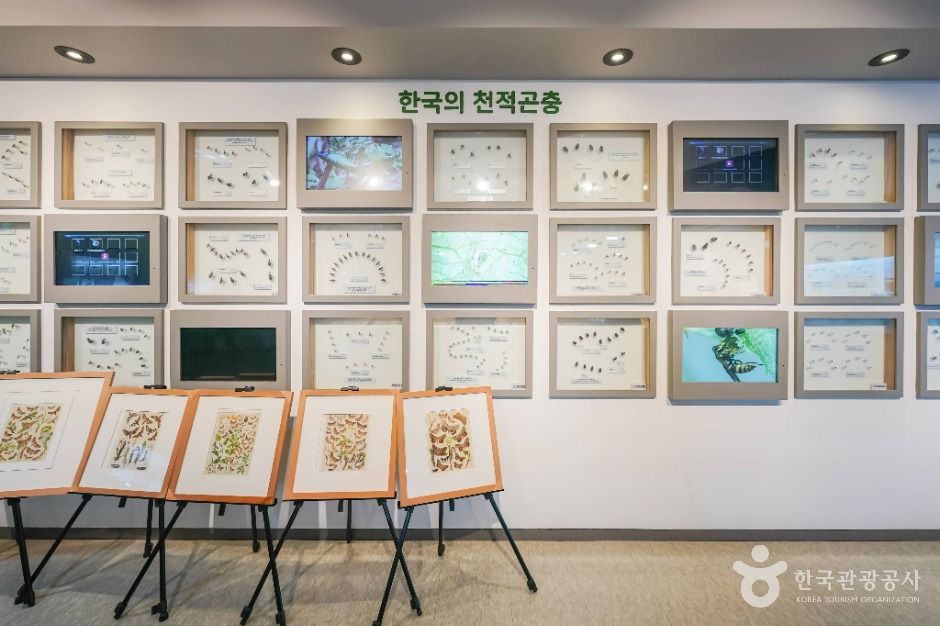 천적생태과학관