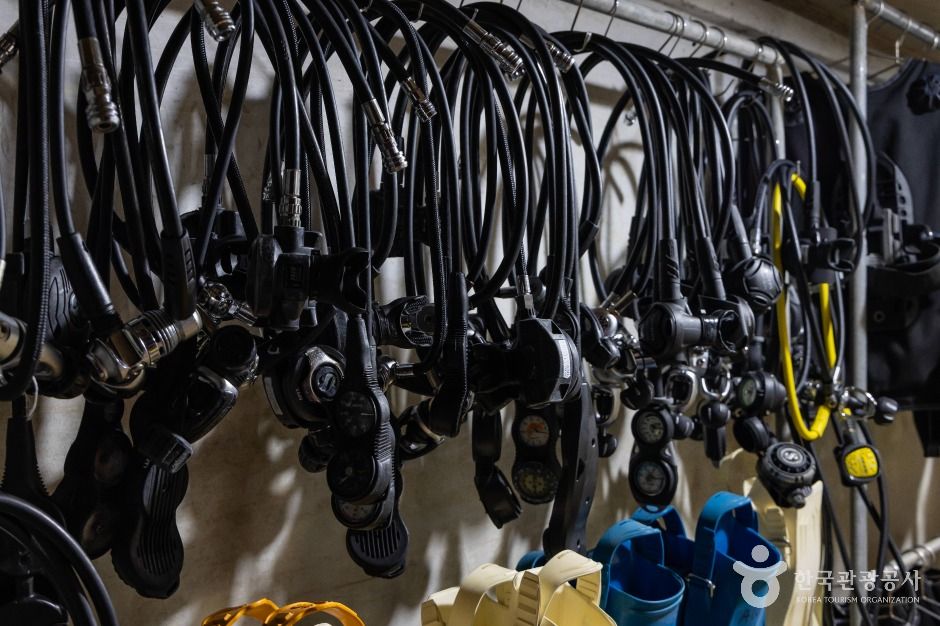 울릉아쿠아캠프