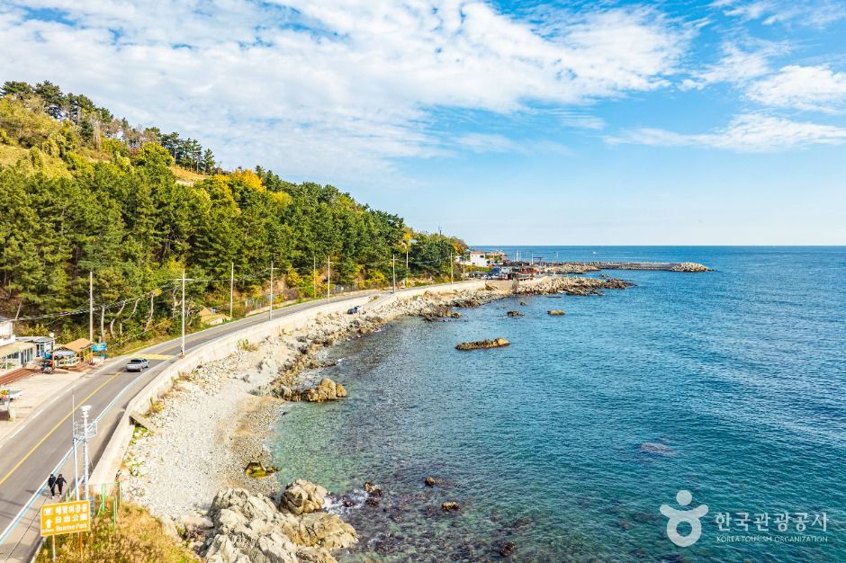 영덕 해안도로 드라이브