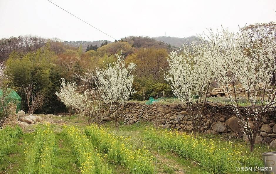 thumbnail-성흥사-2