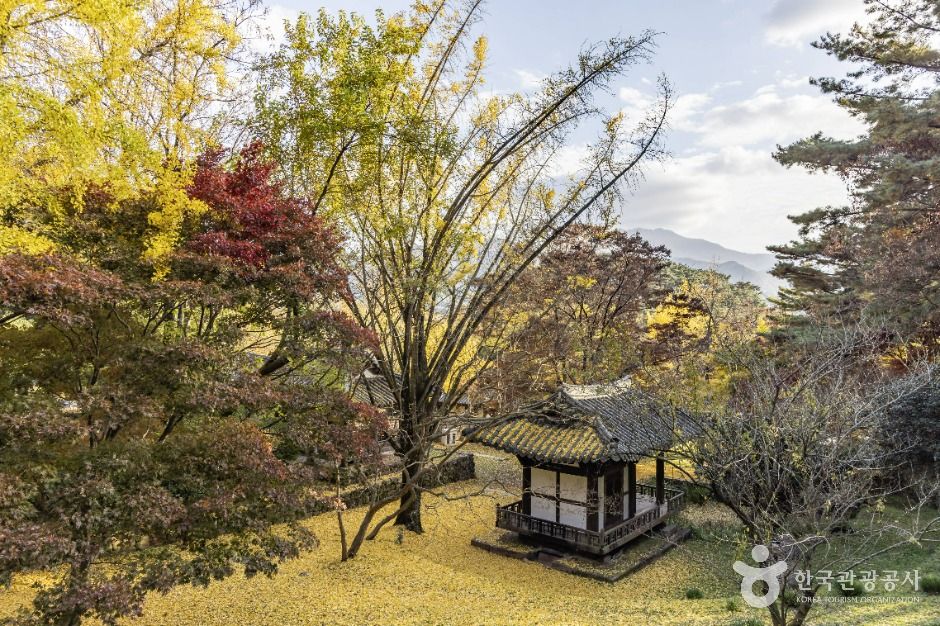 시가문화유적지