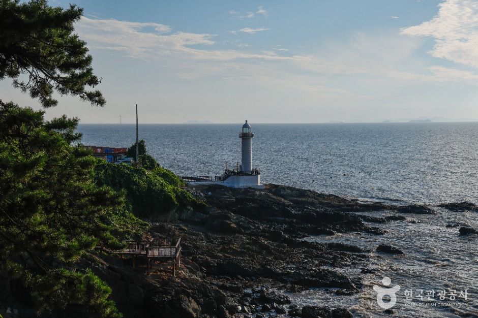 영광_백수해안도로 (5)