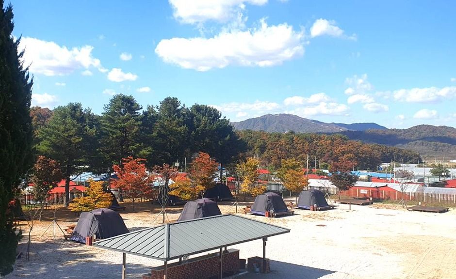 철원_유곡리평화마을캠핑장 (4)
