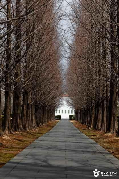 thumbnail-유엔기념공원-21