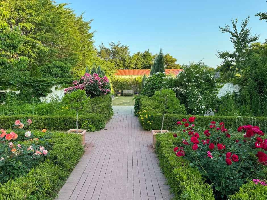 thumbnail-하늬라벤더팜-4