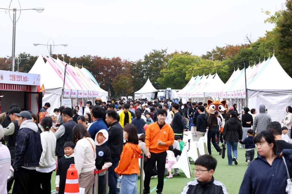 thumbnail-전주페스타-4